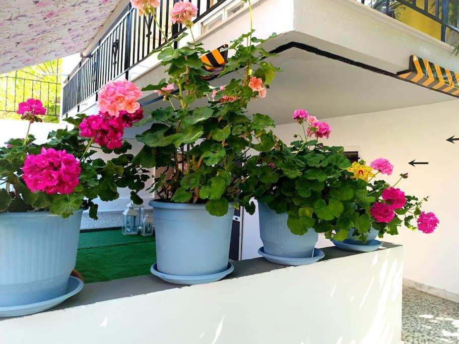 Sofia'S Home 9Min. Athens Airport 阿特米达 外观 照片